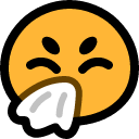 :ms_sneeze: