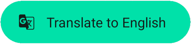 translate_to_english