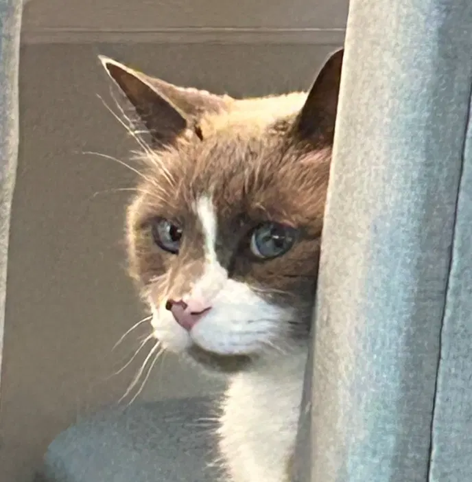 stormy_sideeye